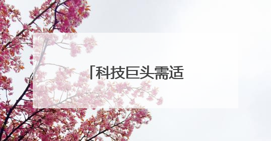 科技巨头需适应更严监管
