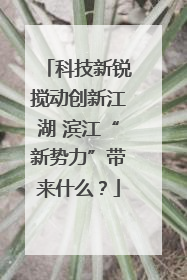 科技新锐搅动创新江湖 滨江“新势力”带来什么？