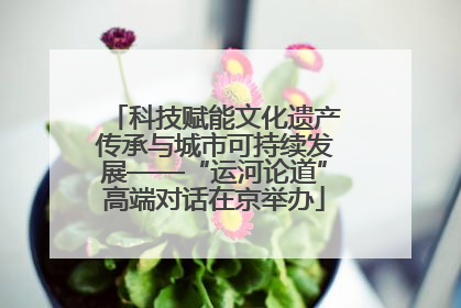 科技赋能文化遗产传承与城市可持续发展——“运河论道”高端对话在京举办