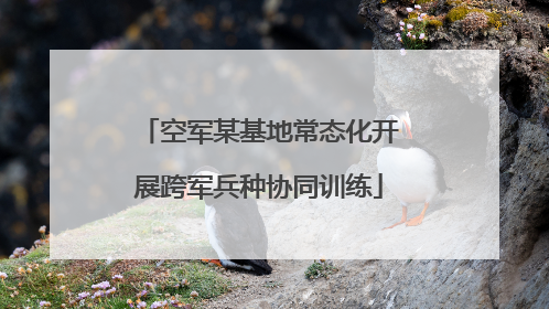 空军某基地常态化开展跨军兵种协同训练