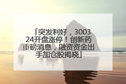 突发利好，300324开盘涨停！创新药重磅消息，融资资金出手加仓股揭晓