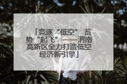 竞逐“低空” 蓄势“起飞”——渭南高新区全力打造低空经济新引擎