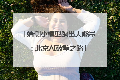 端侧小模型跑出大能量：北京AI破壁之路