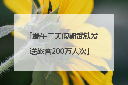端午三天假期武铁发送旅客200万人次