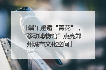 端午邂逅“青花”，“移动博物馆”点亮郑州城市文化空间