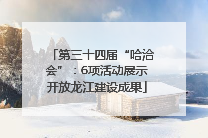 第三十四届“哈洽会”：6项活动展示开放龙江建设成果