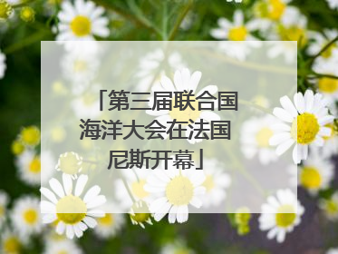 第三届联合国海洋大会在法国尼斯开幕