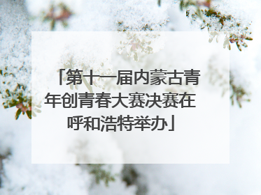 第十一届内蒙古青年创青春大赛决赛在呼和浩特举办