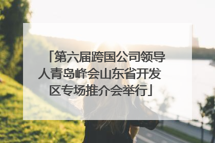 第六届跨国公司领导人青岛峰会山东省开发区专场推介会举行