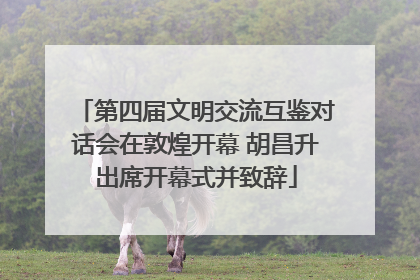 第四届文明交流互鉴对话会在敦煌开幕 胡昌升出席开幕式并致辞
