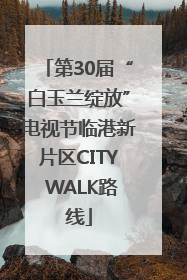 第30届“白玉兰绽放”电视节临港新片区CITY WALK路线