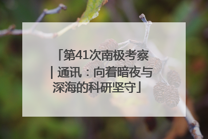 第41次南极考察｜通讯：向着暗夜与深海的科研坚守