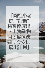 网红小老虎“红糖”将暂停展出？上海动物园：展区改建，会安排展出计划