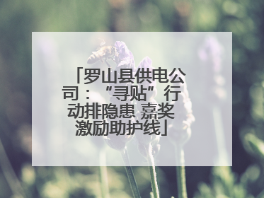 罗山县供电公司：“寻贴”行动排隐患 嘉奖激励助护线