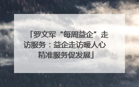 罗文军“每周益企”走访服务：益企走访暖人心 精准服务促发展