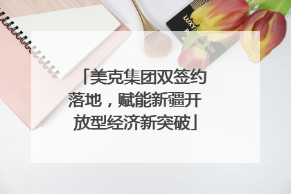 美克集团双签约落地，赋能新疆开放型经济新突破