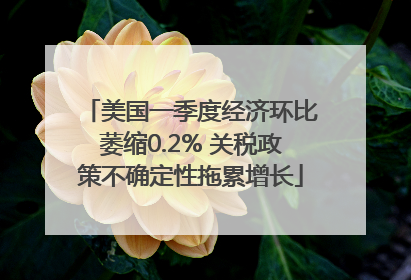 美国一季度经济环比萎缩0.2% 关税政策不确定性拖累增长