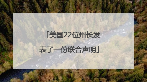 美国22位州长发表了一份联合声明