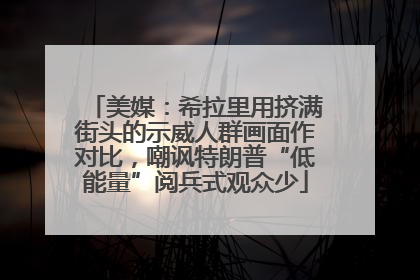 美媒：希拉里用挤满街头的示威人群画面作对比，嘲讽特朗普“低能量”阅兵式观众少