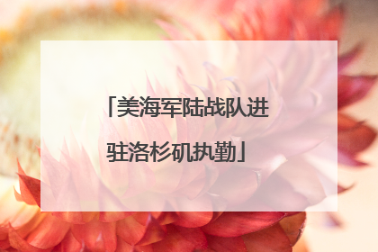 美海军陆战队进驻洛杉矶执勤