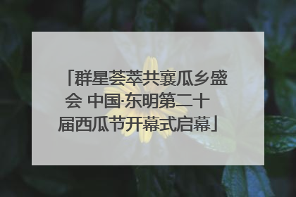 群星荟萃共襄瓜乡盛会 中国·东明第二十届西瓜节开幕式启幕