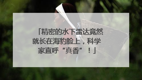 精密的水下雷达竟然就长在海豹脸上，科学家直呼“真香”！