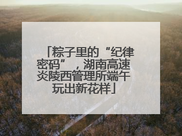 粽子里的“纪律密码”，湖南高速炎陵西管理所端午玩出新花样