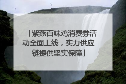 紫燕百味鸡消费券活动全面上线，实力供应链提供坚实保障