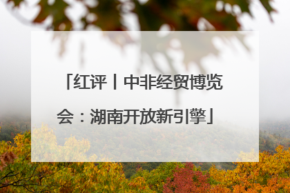 红评丨中非经贸博览会：湖南开放新引擎