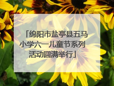 绵阳市盐亭县五马小学六一儿童节系列活动圆满举行