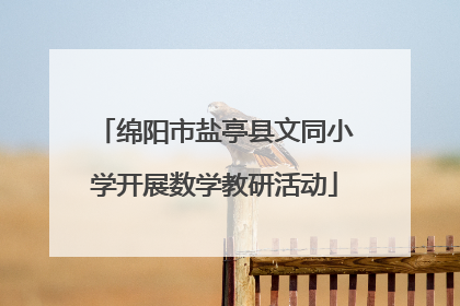 绵阳市盐亭县文同小学开展数学教研活动