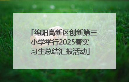 绵阳高新区创新第三小学举行2025春实习生总结汇报活动