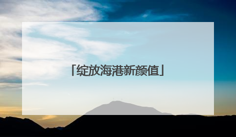 绽放海港新颜值