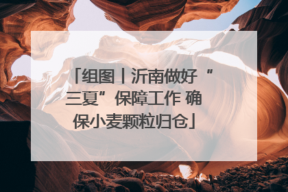组图丨沂南做好“三夏”保障工作 确保小麦颗粒归仓