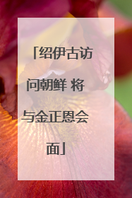 绍伊古访问朝鲜 将与金正恩会面