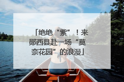绝绝“紫”！来郧西县赴一场“莫奈花园”的浪漫