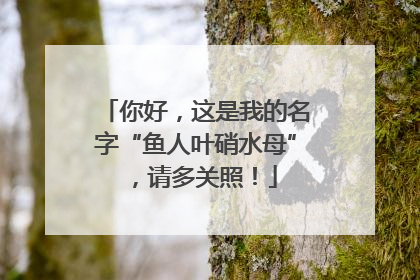 你好，这是我的名字“鱼人叶硝水母”，请多关照！
