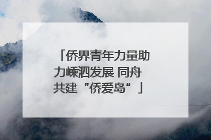 侨界青年力量助力嵊泗发展 同舟共建“侨爱岛”