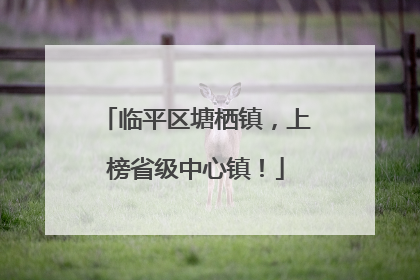 临平区塘栖镇，上榜省级中心镇！