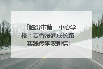 临汾市第一中心学校：麦香浸润成长路 实践传承农耕情