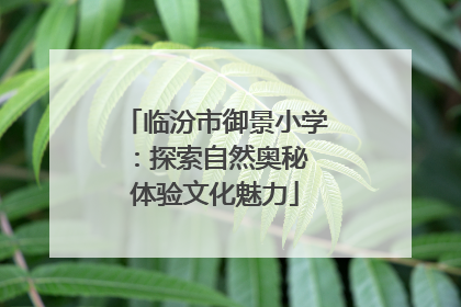 临汾市御景小学：探索自然奥秘 体验文化魅力