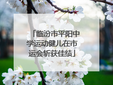 临汾市平阳中学运动健儿在市运会斩获佳绩