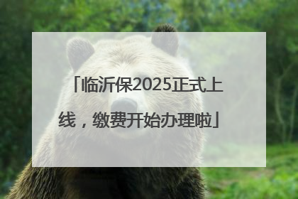 临沂保2025正式上线，缴费开始办理啦