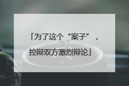 为了这个“案子”，控辩双方激烈辩论