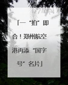 一“拍”即合！郑州航空港再添“国字号”名片