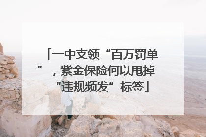 一中支领“百万罚单”，紫金保险何以甩掉“违规频发”标签