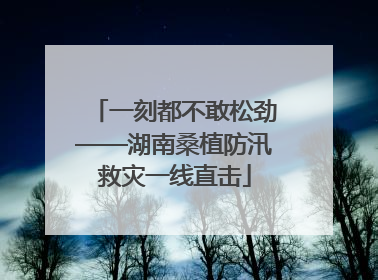 一刻都不敢松劲——湖南桑植防汛救灾一线直击