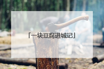 一块豆腐进城记