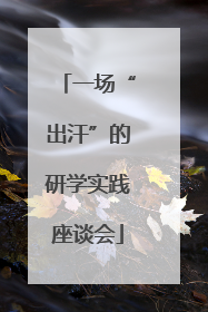 一场“出汗”的研学实践座谈会