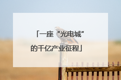 一座“光电城”的千亿产业征程